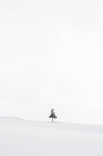 Güzel açık doğa manzara ile Noel ağacı kışın - Fotoğraf, Görsel