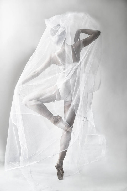 the grace of a ballerina in a captivity of fine fabric - Foto, immagini