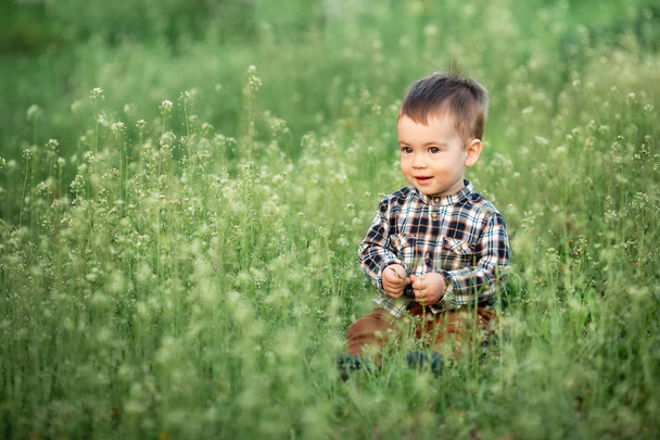 little boy sitting in the flowering meadow - Foto, afbeelding