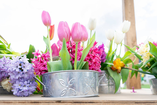 Blechblumentöpfe mit einem floralen Arrangement aus Tulpen und anderen Blumensorten in rosa, weißen, gelben und leuchtend grünen Stielen. Sperrholz Arbeitstisch zeigt. - Foto, Bild
