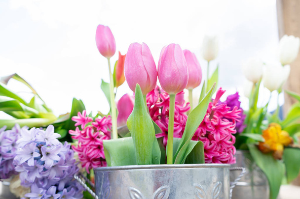 Close up view of a flower arrangement of tulips and other flowers in a vintage tin can, with very bright daylight and a white background. - Photo, Image