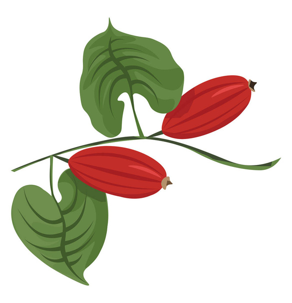 Clipart of two red cucumbers with two palm-like green leaves, ve - Vector, Image