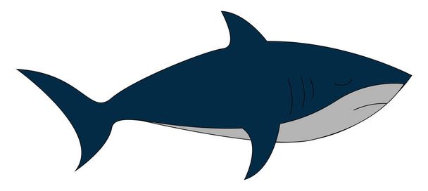 ClipArt a kék cápa meghatározott elszigetelt fehér háttér viewe - Vektor, kép