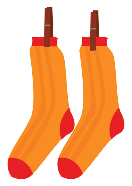 Clipart of the pair of socks hanging while clasped with the wood - Vector, Image