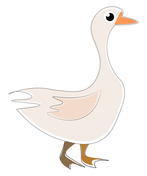 White goose, vector or color illustration.  - Vector, Image