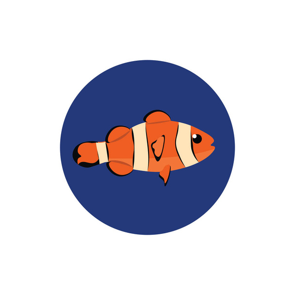 Imagen de pez payaso, vector o ilustración en color
. - Vector, imagen