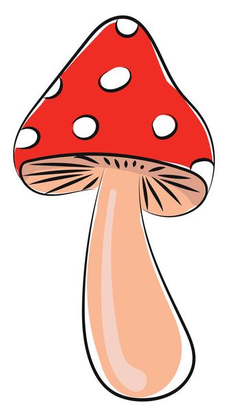 Mushroom, vector or color illustration. - Vector, Image