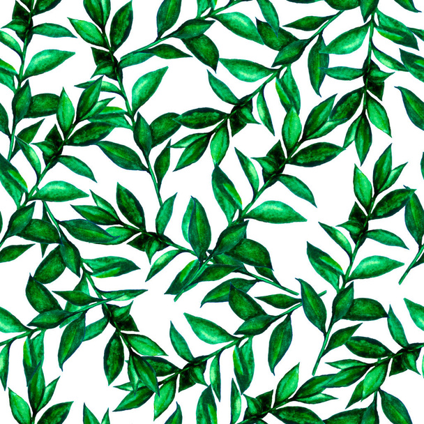 Χωρίς ραφές μοτίβο πράσινα φύλλα υδατογραφης.  - Φωτογραφία, εικόνα