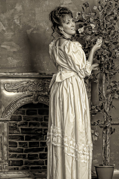 Victorian vintage photo of a woman in the interior, sepia - Fotoğraf, Görsel