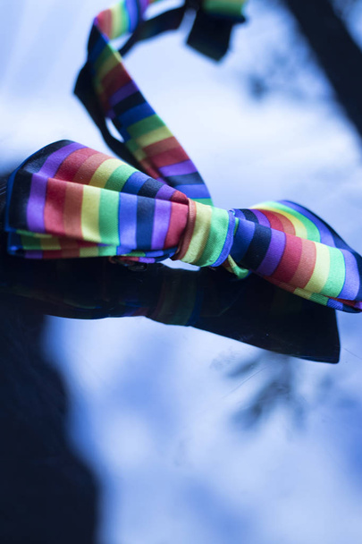 Gay lesbische LGBT Bow tie - Foto, afbeelding