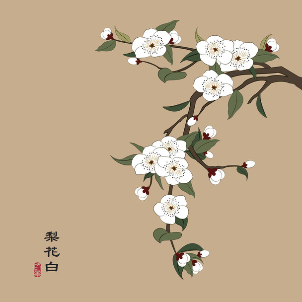 Retro colorful Chinese style vector illustration white pear blossom. Translation for the Chinese word : white pear flower. - Vecteur, image
