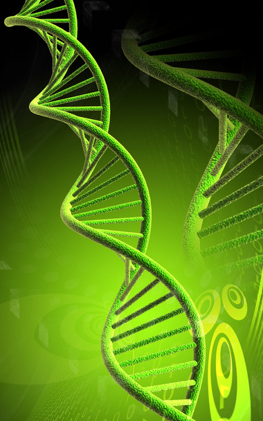 DNA - Foto, afbeelding