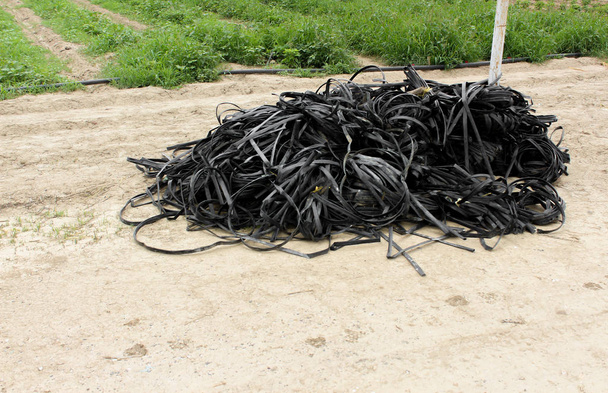 Montón de cintas abandonadas para riego por goteo deterioradas, listas para ser descartadas
. - Foto, Imagen