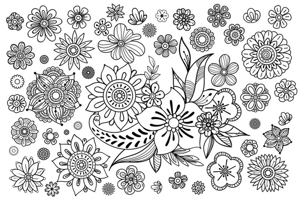hand drawn leaves and flowers - Vektori, kuva
