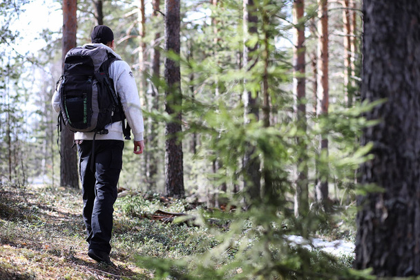 A man is a tourist in a pine forest with a backpack. A hiking tr - Photo, Image