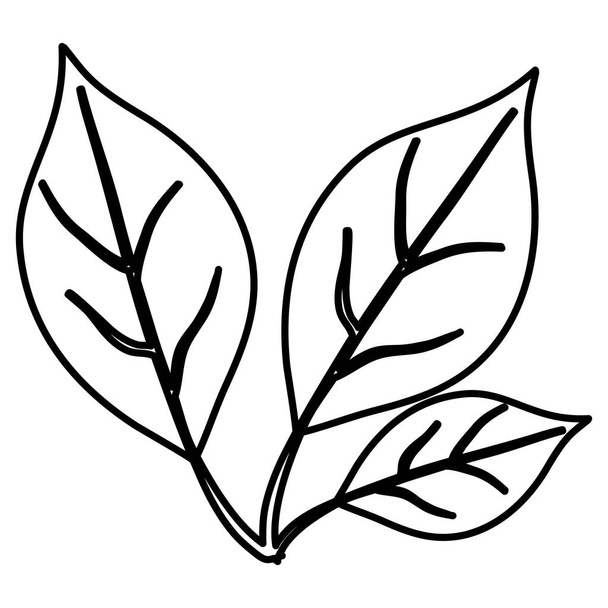 branch with leafs decorative icon - Vektor, kép