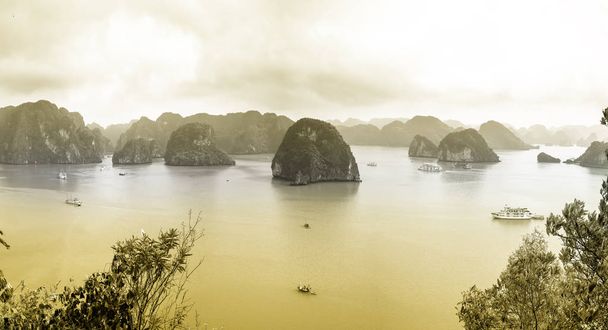 Beautiful landscape Halong Bay view from adove the Ti Top Island. Halong Bay is the UNESCO World Heritage Site, it is a beautiful natural wonder in northern Vietnam - Photo, Image