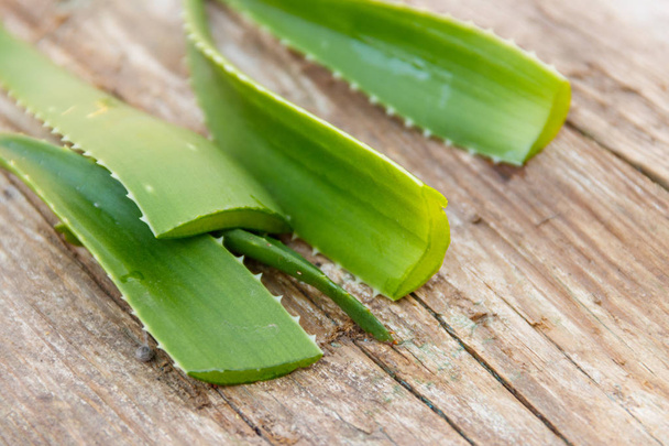 Green leaves of aloe vera plant on rustic wooden background - Фото, изображение