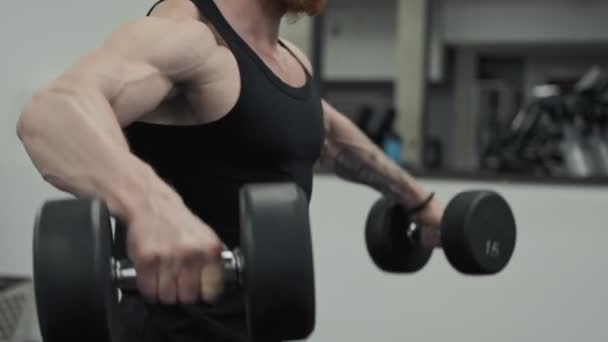 Closeup of man doing exercises in gym with dumbbells. Bearded man doing lift-ups - Séquence, vidéo