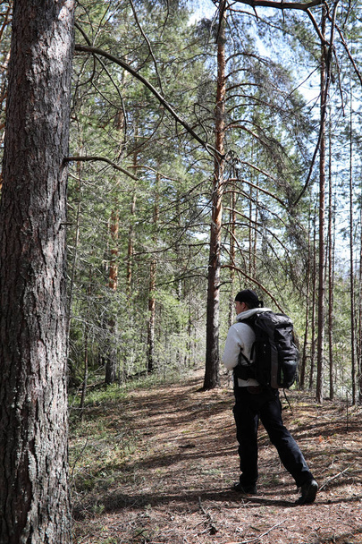 Ο άνθρωπος είναι ένας τουρίστας σε ένα πευκόφυτο δάσος με ένα σακίδιο. Μια πεζοπορία tr - Φωτογραφία, εικόνα