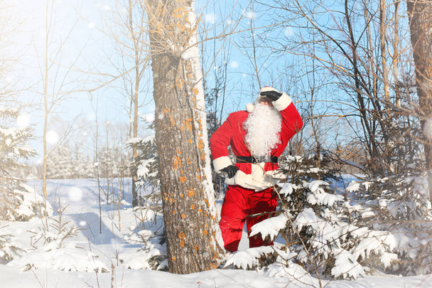 Дід Мороз виходить з подарунками від на відкритому повітрі. Санта в червоний су - Фото, зображення
