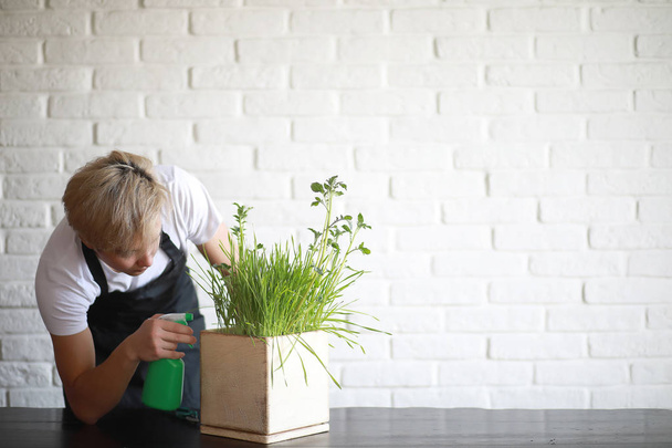 Joven asiático chico toma el cuidado de interior plantas
 - Foto, imagen