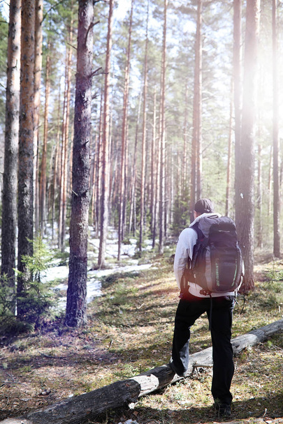 Egy ember, egy turista, egy fenyves erdőben, egy hátizsák. A kirándulás tr - Fotó, kép