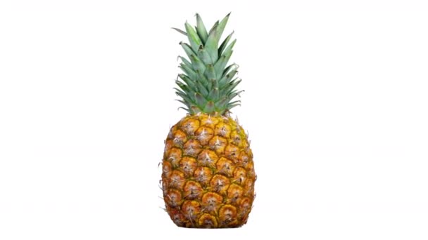 Close up of spinning pineapple on white background - Footage, Video