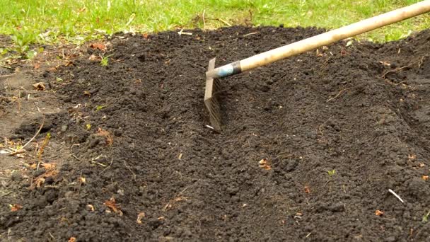 Voorbereiding van de bedden voor het planten van groenten, losdraaien van de grond met een rake. Voorbereiding van de bodem in het vroege voorjaar voor een goede oogst - Video