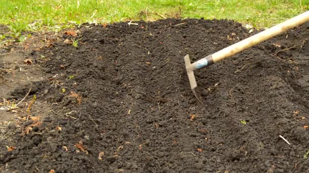 野菜を植えるためのベッドの準備、熊手で土壌を緩めます。豊作のための早春の土壌の準備 - 映像、動画