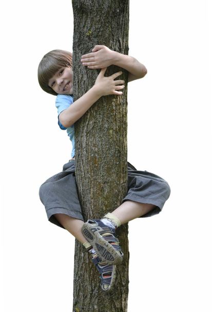 chlapec na stromě - Fotografie, Obrázek