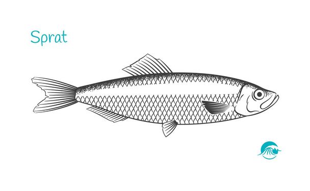 SPAT halak kézzel rajzolt illusztráció - Vektor, kép