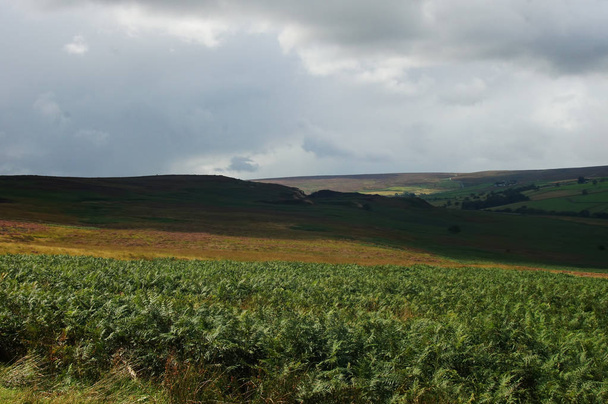 Landscape under clouds in Yorkshire - Photo, Image