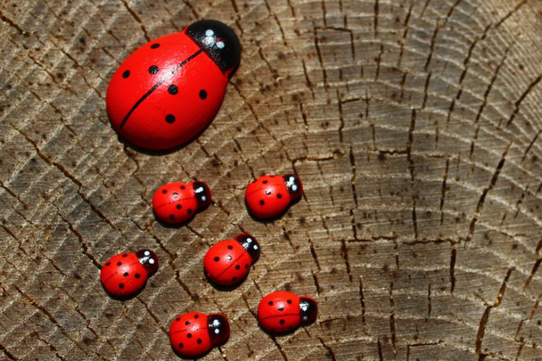 lieveheersbeestjes op houten grond - Foto, afbeelding