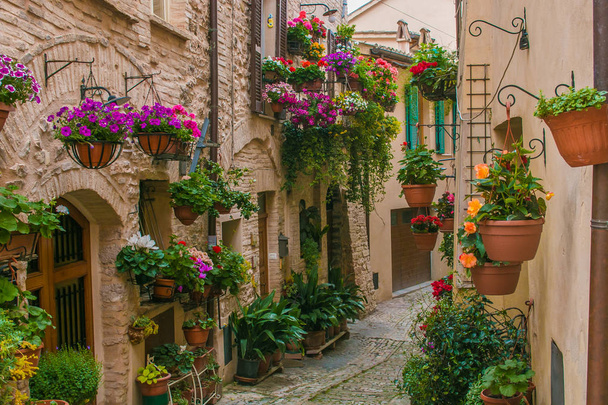 Wonderful medieval town in Umbria region, central Italy, during the floral competition. Romantic view of old street in Spello village - Foto, Bild
