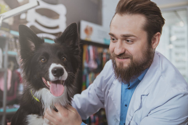 Fröhlicher bärtiger Tierarzt untersucht schönen Hund - Foto, Bild