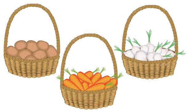 コレクション.ソランは豊かな収穫です。美しいウィッカーバスケットで新鮮なジャガイモ、玉ねぎ、ニンジン。おいしい食べ物を調理するためには野菜が必要です。ベクトルイラストセット - ベクター画像