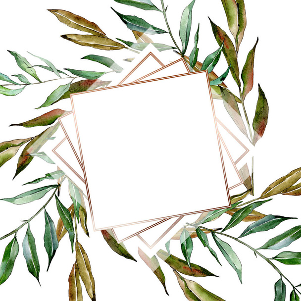 Green willow branches. Watercolor background illustration set. Frame border ornament square. - Fotoğraf, Görsel