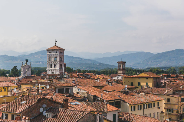 Tower of San Michele in Foro church over houses of Lucca, Tuscan - Photo, Image