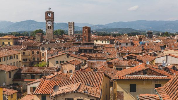 Towers over houses of historic centre of Lucca, Italy - Photo, image