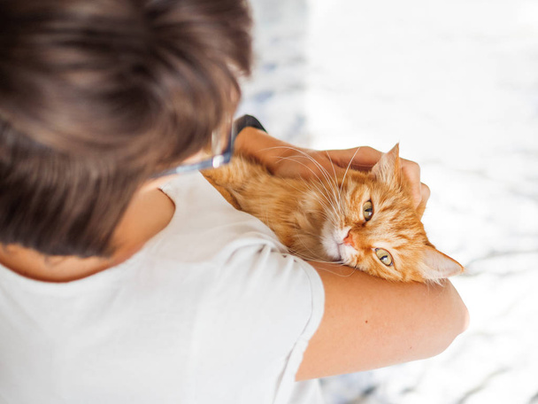 Cute ginger cat lies on woman's hands. The fluffy pet comfortably settled to sleep or to play. Cute cozy background. Morning bedtime at home. - Fotografie, Obrázek