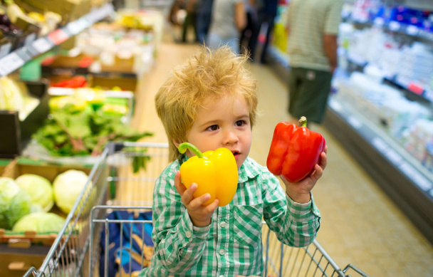 Vegetables. Organic Shop. Vegan Organic Food, Produce of pepper. Cute child holds grocery shopping, fresh vegetables. Diet healthy eating concept. - Photo, Image