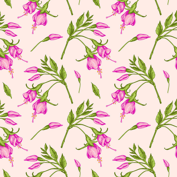 Pattern with pink fuchsia flowers. - Διάνυσμα, εικόνα