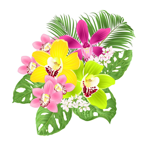 白い背景ヴィンテージベクトルイラスト編集可能な手描きの熱帯オーキドキシンビジウム緑と紫の花とモンテラの葉 - ベクター画像