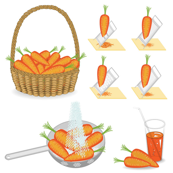 Sammlung. reife Karotten. Gemüse wird in einem Korb gesammelt, in einem Sieb mit Wasser gewaschen, in einer Reibe gemahlen und mit Saft gebraut. Kochen lecker, gesundes Essen. Reihe von Vektorillustrationen - Vektor, Bild