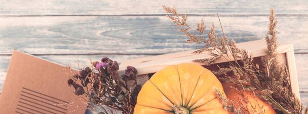 Autumn pumpkins and dry flowers flat lay - Photo, Image