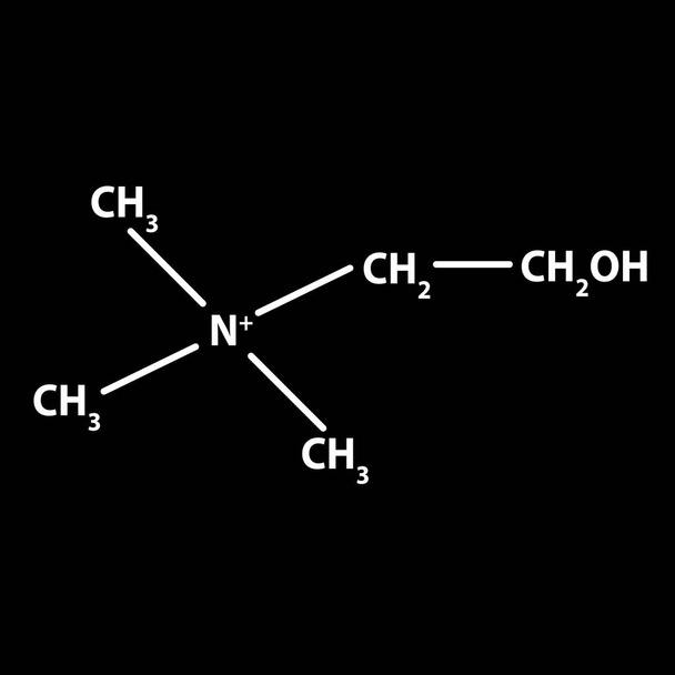 B4-vitamiini. Koliinimolekyylinen kemiallinen kaava. Infografiikkaa. Vektorin kuva mustalla taustalla
 - Vektori, kuva