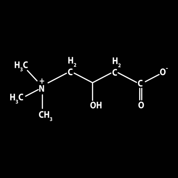 Vitamín B11. L-karnitinový molekulární chemický vzorec. Informační grafika. Vektorová ilustrace na černém pozadí. - Vektor, obrázek
