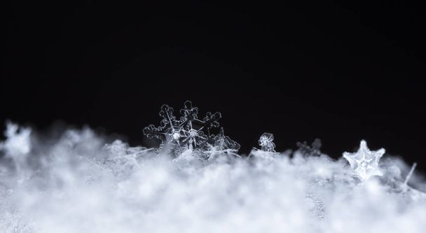 copos de nieve en la nieve. la imagen se hace a una temperatura de-8 C
 - Foto, Imagen