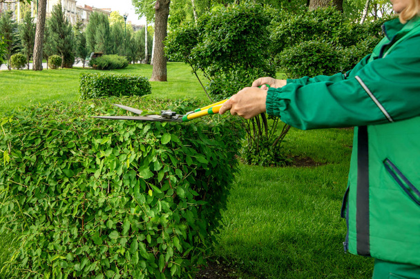 Parkosítás a parkban. A Kertész nő a zöld munka Su - Fotó, kép